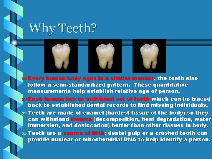 Why Teeth? Every human body ages in a similar manner, the teeth also follow
