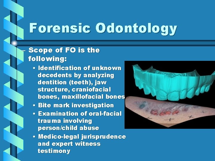 Forensic Odontology – Scope of FO is the following: • Identification of unknown decedents
