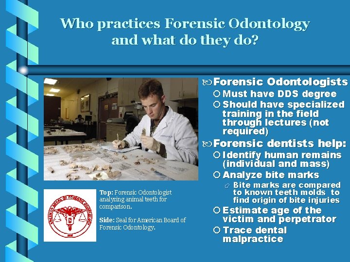 Who practices Forensic Odontology and what do they do? Forensic Odontologists Must have DDS