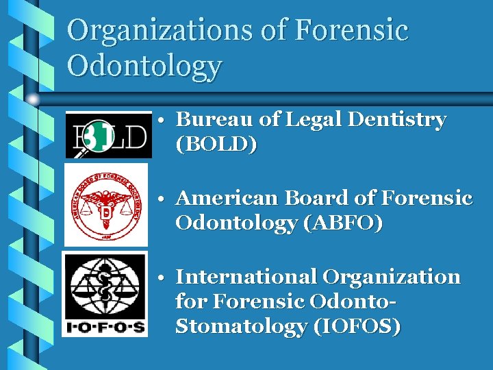 Organizations of Forensic Odontology • Bureau of Legal Dentistry (BOLD) • American Board of