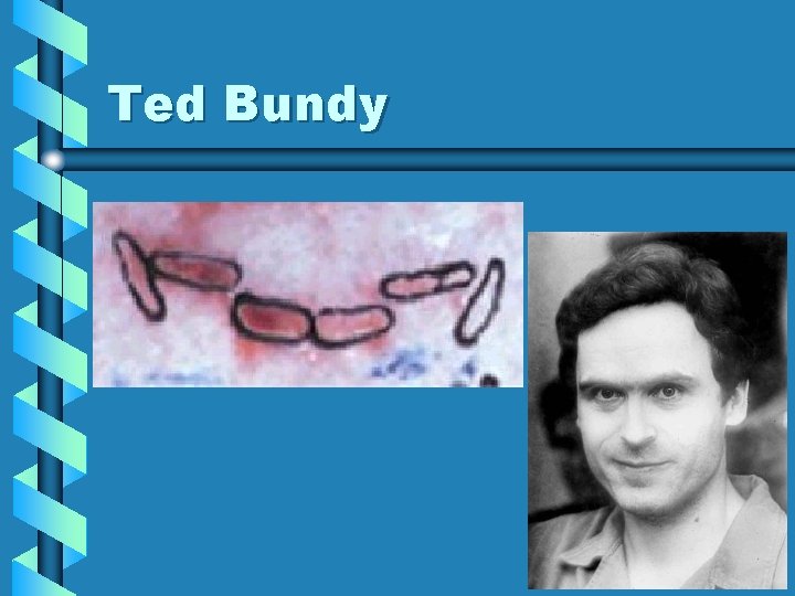 Ted Bundy 