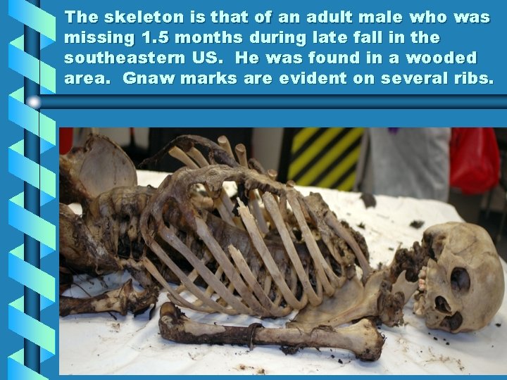 The skeleton is that of an adult male who was missing 1. 5 months