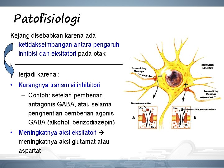 Patofisiologi Kejang disebabkan karena ada ketidakseimbangan antara pengaruh inhibisi dan eksitatori pada otak terjadi