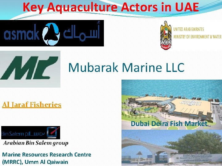 Key Aquaculture Actors in UAE Al Jaraf Fisheries Marine Resources Research Centre (MRRC), Umm