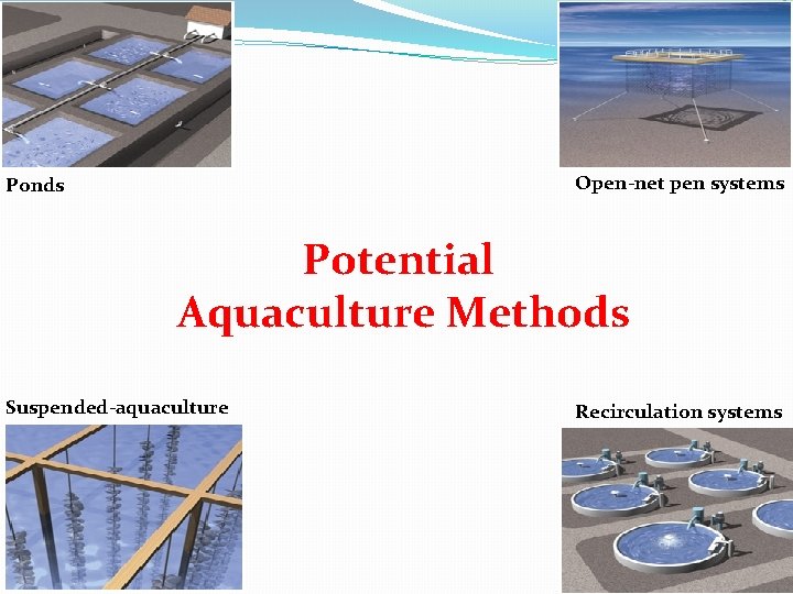 Open-net pen systems Ponds Potential Aquaculture Methods Suspended-aquaculture Recirculation systems 