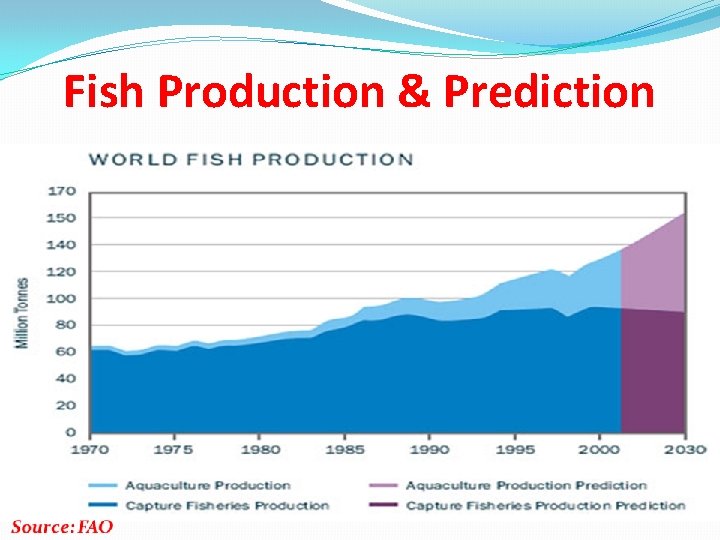 Fish Production & Prediction 