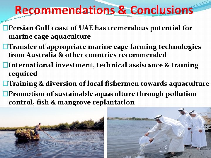 Recommendations & Conclusions �Persian Gulf coast of UAE has tremendous potential for marine cage