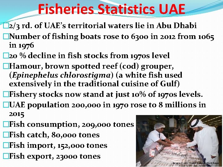 Fisheries Statistics UAE � 2/3 rd. of UAE’s territorial waters lie in Abu Dhabi