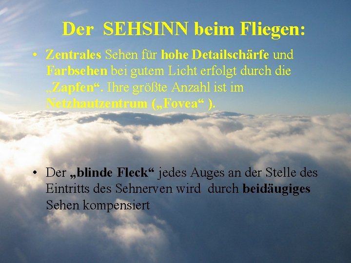 Der SEHSINN beim Fliegen: • Zentrales Sehen für hohe Detailschärfe und Farbsehen bei gutem