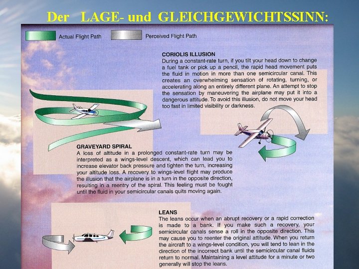 Der LAGE- und GLEICHGEWICHTSSINN: 