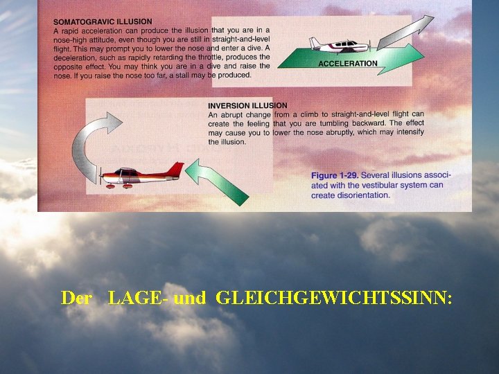 Der LAGE- und GLEICHGEWICHTSSINN: 