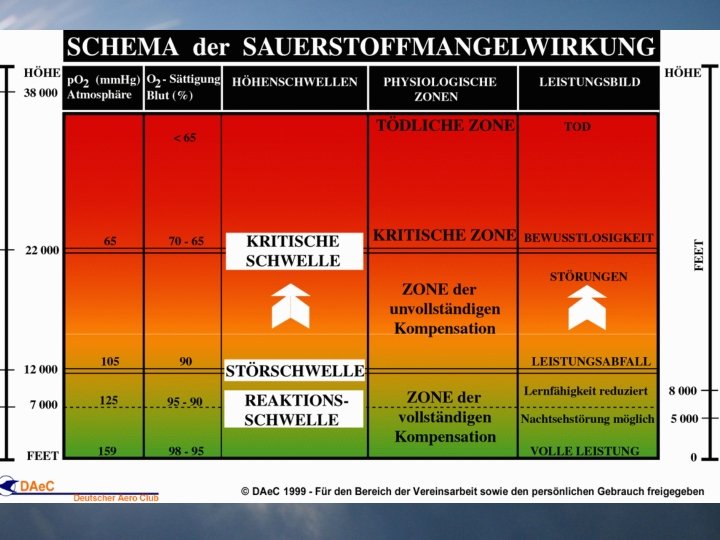 UMWELTEINFLÜSSE: 