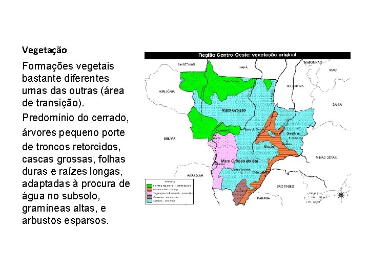 Vegetação Formações vegetais bastante diferentes umas das outras (área de transição). Predomínio do cerrado,