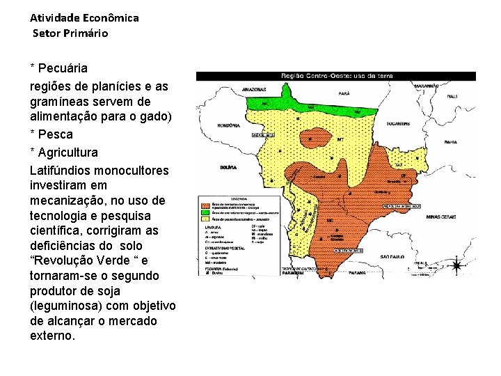 Atividade Econômica Setor Primário * Pecuária regiões de planícies e as gramíneas servem de