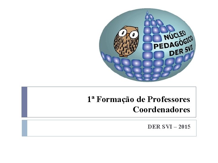 1ª Formação de Professores Coordenadores DER SVI – 2015 