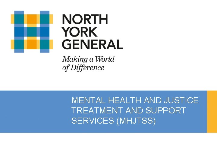 MENTAL HEALTH AND JUSTICE TREATMENT AND SUPPORT SERVICES (MHJTSS) 