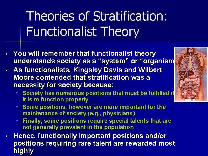 Theories of Stratification: Functionalist Theory § § You will remember that functionalist theory understands