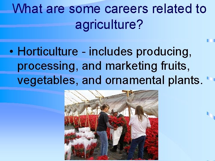What are some careers related to agriculture? • Horticulture - includes producing, processing, and