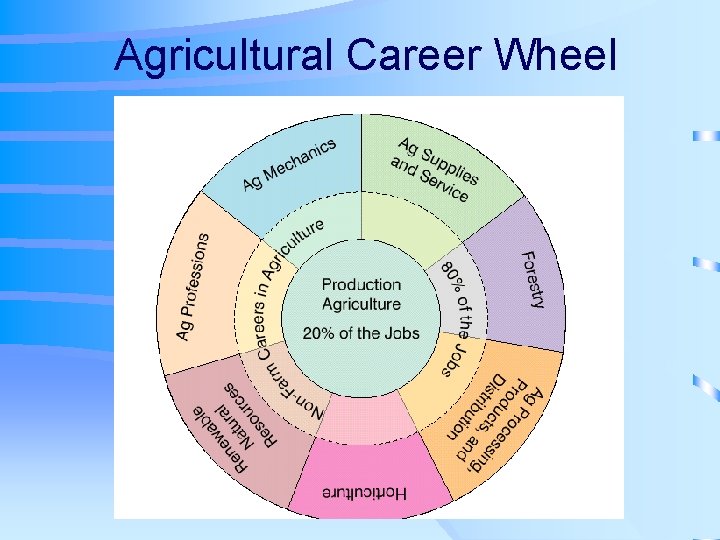 Agricultural Career Wheel 