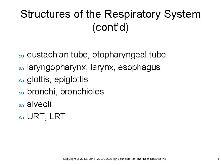 Structures of the Respiratory System (cont’d) eustachian tube, otopharyngeal tube laryngopharynx, larynx, esophagus glottis,