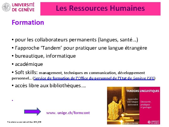 Les Ressources Humaines Formation • pour les collaborateurs permanents (langues, santé…) • l’approche ‘Tandem’