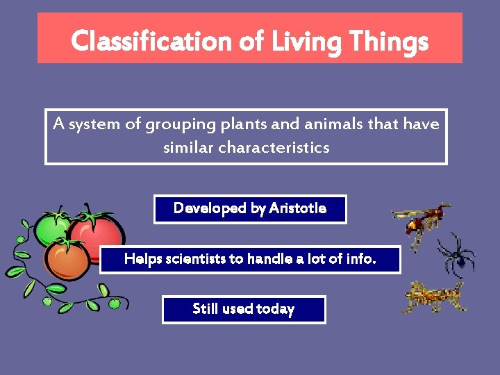 Classification of Living Things A system of grouping plants and animals that have similar