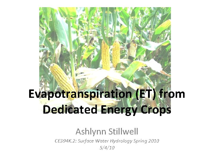 Evapotranspiration (ET) from Dedicated Energy Crops Ashlynn Stillwell CE 394 K. 2: Surface Water