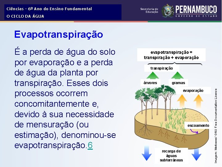 Ciências - 6º Ano do Ensino Fundamental O CICLO DA ÁGUA Evapotranspiração evapotranspiração =