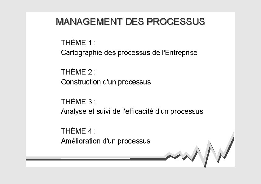 MANAGEMENT DES PROCESSUS THÈME 1 : Cartographie des processus de l'Entreprise THÈME 2 :