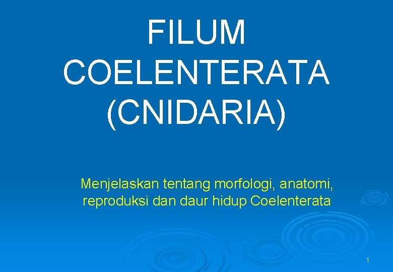 FILUM COELENTERATA (CNIDARIA) Menjelaskan tentang morfologi, anatomi, reproduksi dan daur hidup Coelenterata 1 