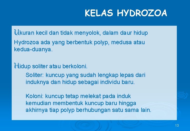 KELAS HYDROZOA Ukuran kecil dan tidak menyolok, dalam daur hidup Hydrozoa ada yang berbentuk