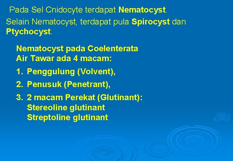 Pada Sel Cnidocyte terdapat Nematocyst. Selain Nematocyst, terdapat pula Spirocyst dan Ptychocyst. Nematocyst pada