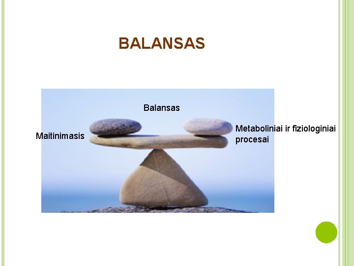BALANSAS Balansas Maitinimasis Metaboliniai ir fiziologiniai procesai 