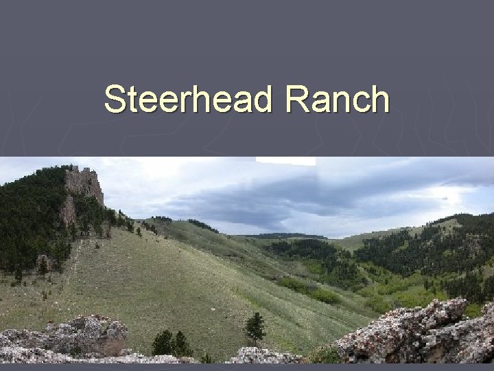 Steerhead Ranch 