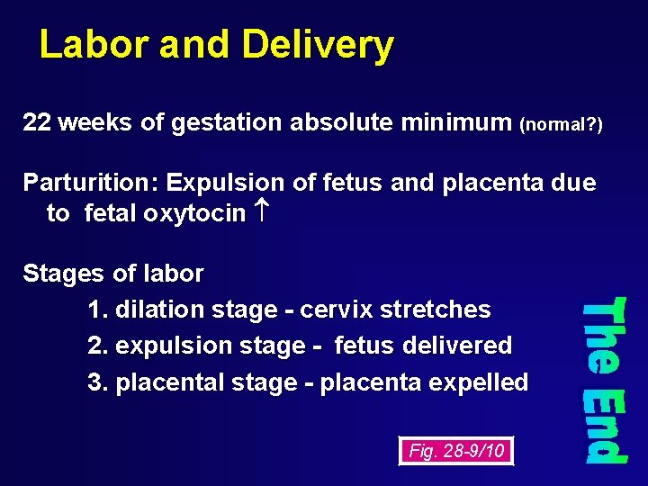 Labor and Delivery 22 weeks of gestation absolute minimum (normal? ) Parturition: Expulsion of