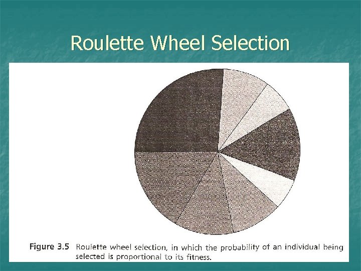Roulette Wheel Selection 