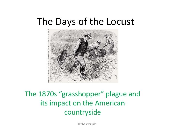 The Days of the Locust The 1870 s “grasshopper” plague and its impact on