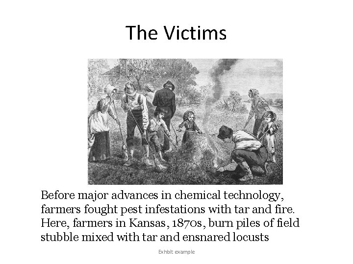 The Victims Before major advances in chemical technology, farmers fought pest infestations with tar