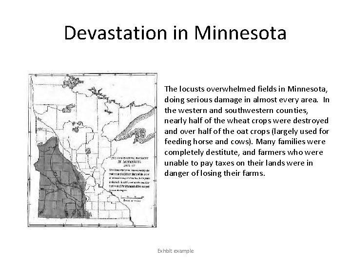 Devastation in Minnesota The locusts overwhelmed fields in Minnesota, doing serious damage in almost