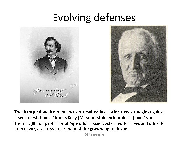 Evolving defenses The damage done from the locusts resulted in calls for new strategies