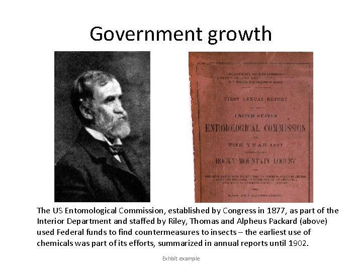 Government growth The US Entomological Commission, established by Congress in 1877, as part of