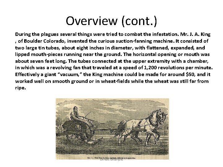 Overview (cont. ) During the plagues several things were tried to combat the infestation.