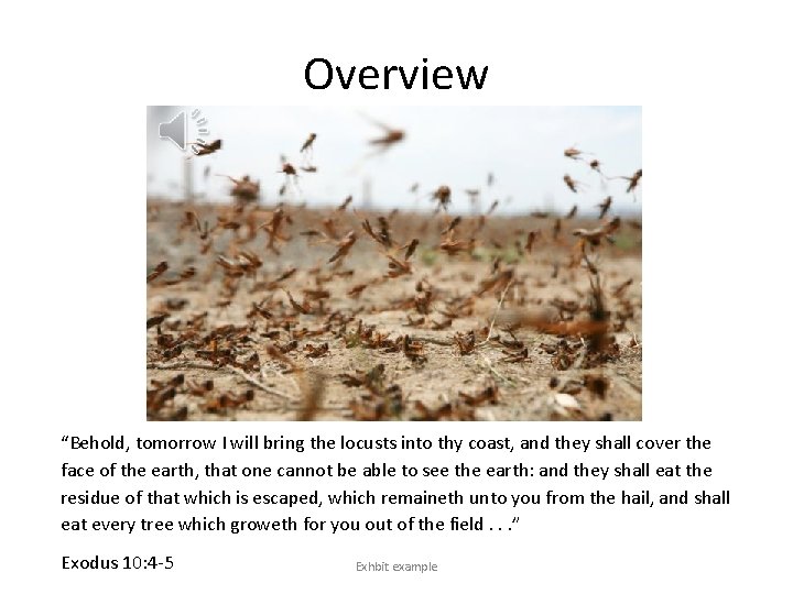 Overview “Behold, tomorrow I will bring the locusts into thy coast, and they shall