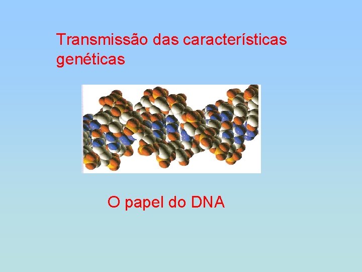 Transmissão das características genéticas O papel do DNA 