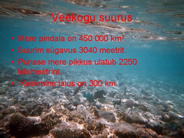 Veekogu suurus • Mere pindala on 450 000 km². • Suurim sügavus 3040 meetrit.