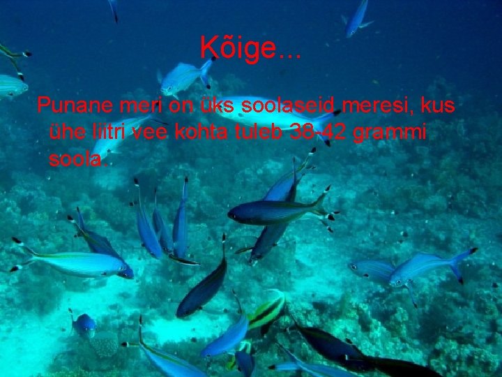 Kõige. . . Punane meri on üks soolaseid meresi, kus ühe liitri vee kohta