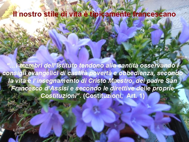 Il nostro stile di vita è tipicamente francescano “…I membri dell’Istituto tendono alla santità Il nostro stile di vita è tipicamente francescano “…I membri dell’Istituto tendono alla santità
