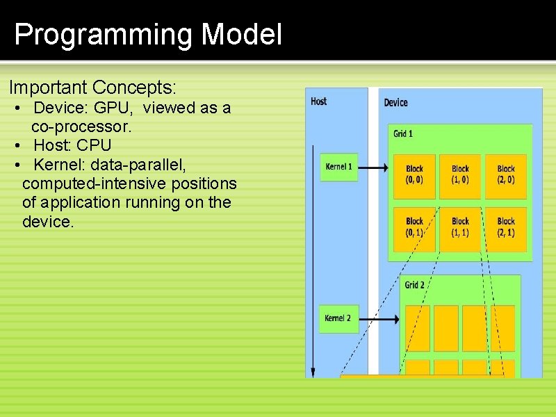 Programming Model Important Concepts: • Device: GPU, viewed as a co-processor. • Host: CPU
