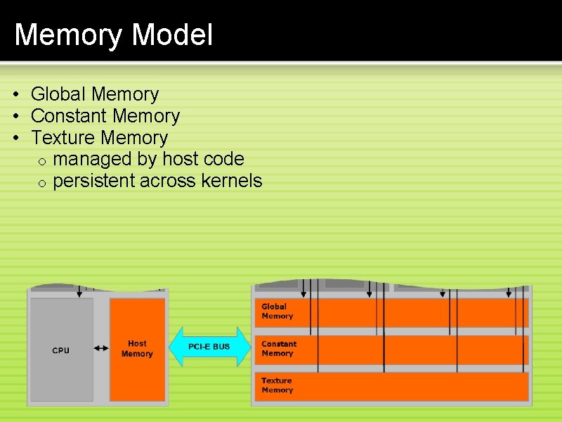 Memory Model • Global Memory • Constant Memory • Texture Memory o managed by