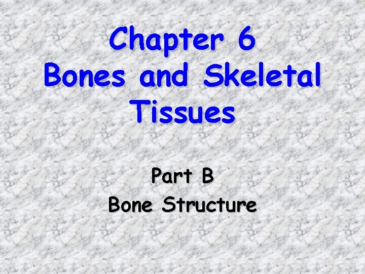 Chapter 6 Bones and Skeletal Tissues Part B Bone Structure 